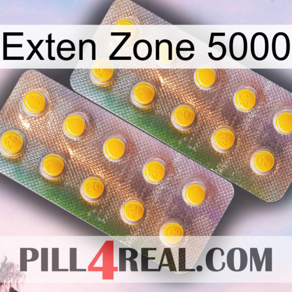 Exten Zone 5000 new10.jpg